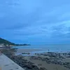 xuanxuan2127