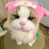 wh0s_liya22