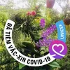 userm28blmizfm