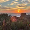 maraa_13012