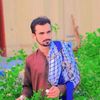 tanveerbaloch8616