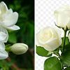 user3240813160747