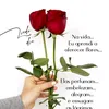leirienedejesus