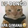 user62662_42