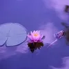 usero9w4xizwgs