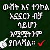 temesgen924