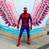 spidercotidiano