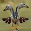 userbseo29098t