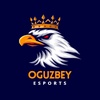 oguzzb3y