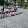 ludmilabuda