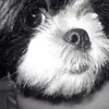 mallyhello8