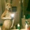 jonathan.vasquez49