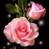 shirleypillay81