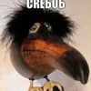 amirdeboshir