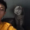 jonk2k