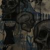 skull.xvp