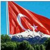 yasaris5461