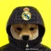thaidepzaivcl