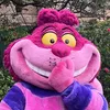 chippy_husiq_k01