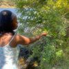auntie.divineroots