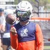getbizzycinco