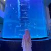 syilfaaa17