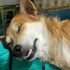 nhacchillsad7