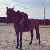 emi.lxa._