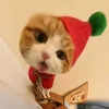 ._.moryy