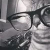 typashiii8