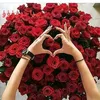 user7486914553011