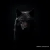 ___yassineyassine