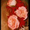 ratri17660gmail.com