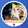bachnganhoilv