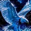 the.flying.eagle5