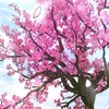 rosa_jjja