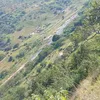 senzoluthuli88