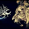 mubsharbhatti405