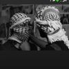 aseelthaher3