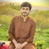 zaibabbasi0008
