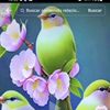 coumbiss887