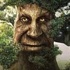 the_mystic_tree