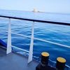 khalilahmad3647