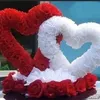 muneebkhan5196