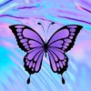 erlinna_563