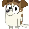 lulu.spedytor