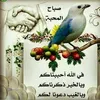 medjilali63