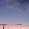 userdamarinaa
