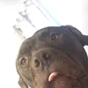 luna6272364