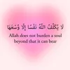 hi______ba23